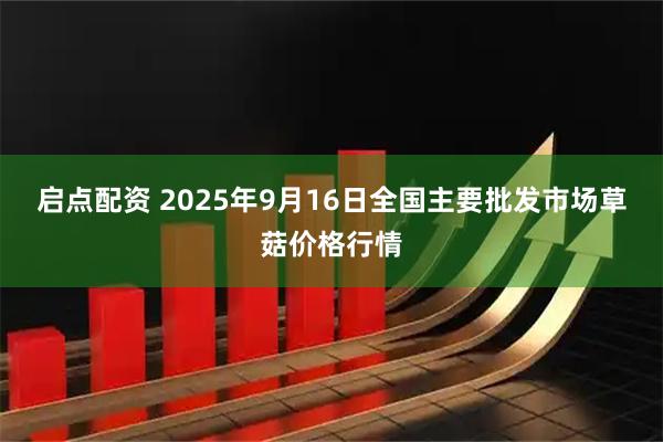 启点配资 2025年9月16日全国主要批发市场草菇价格行情
