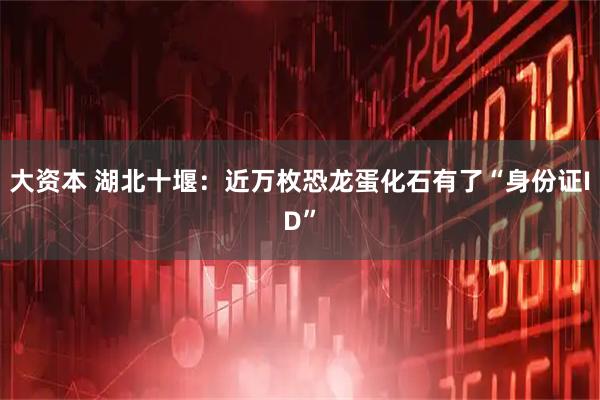 大资本 湖北十堰：近万枚恐龙蛋化石有了“身份证ID”