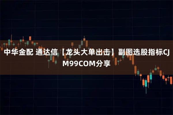 中华金配 通达信【龙头大单出击】副图选股指标CJM99COM分享