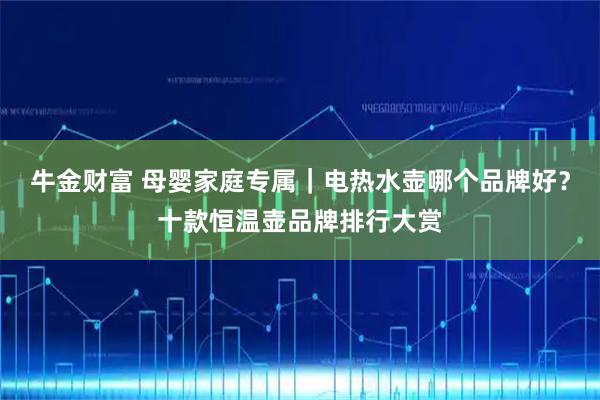 牛金财富 母婴家庭专属｜电热水壶哪个品牌好？十款恒温壶品牌排行大赏