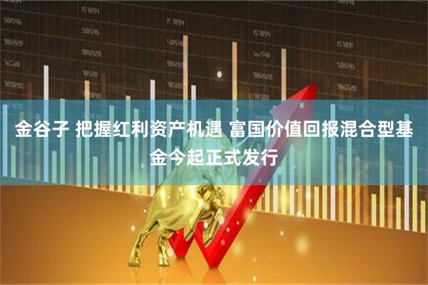 金谷子 把握红利资产机遇 富国价值回报混合型基金今起正式发行